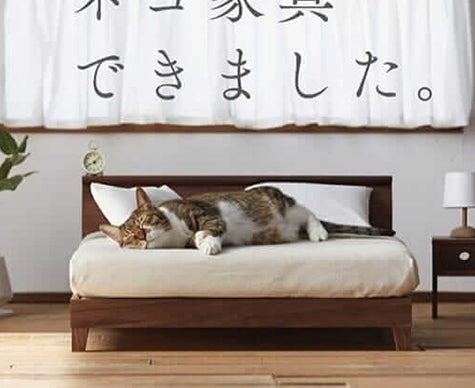 16 idées géniales pour créer un petit lit… à votre chat