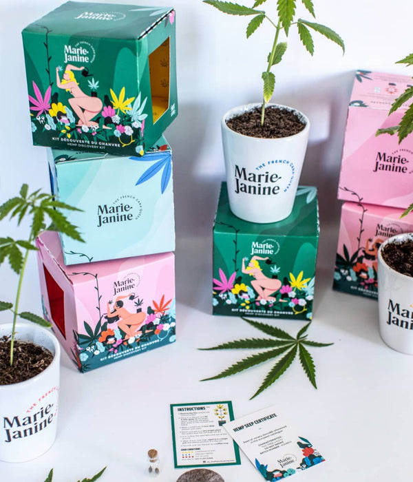 Un kit de plantation de chanvre – Mieux Que Des Fleurs