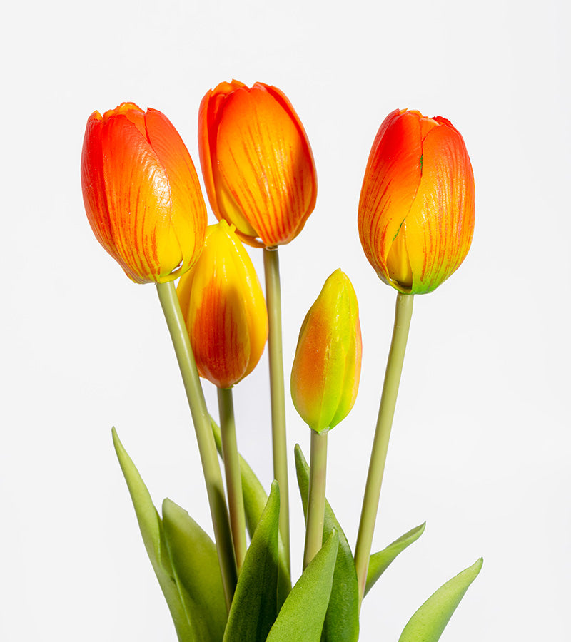 Bouquet de tulipes réalistes