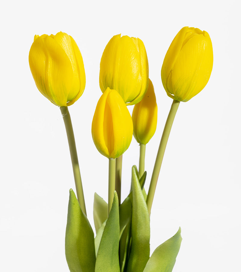 Bouquet de tulipes réalistes