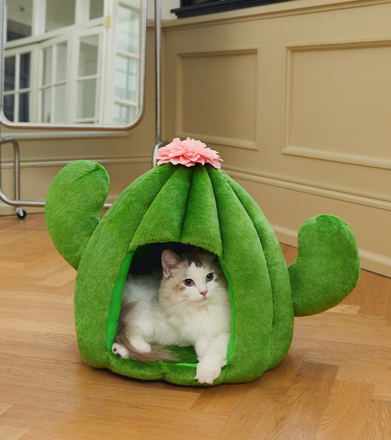 Cabane cactus pour animaux