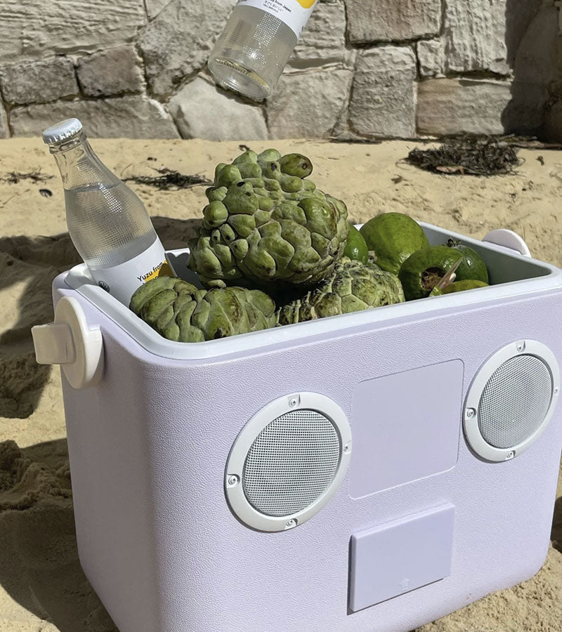 Enceinte glacière lilas  Sunnylife