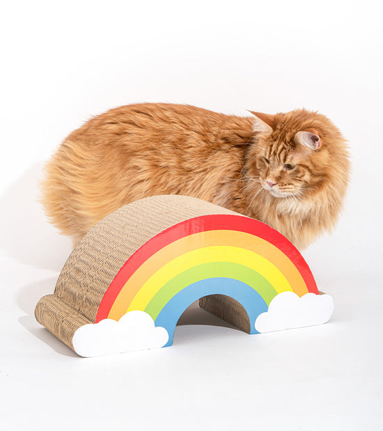 Griffoir arc-en-ciel pour chats  suck uk