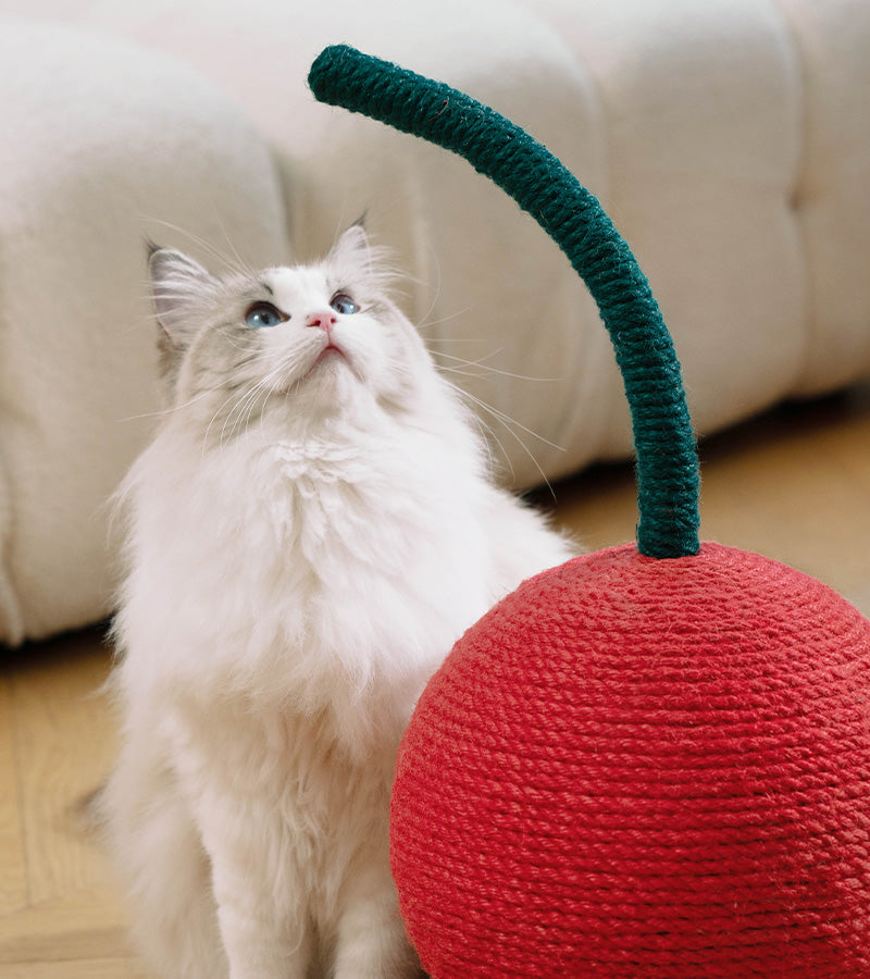 Griffoir cerise pour chats