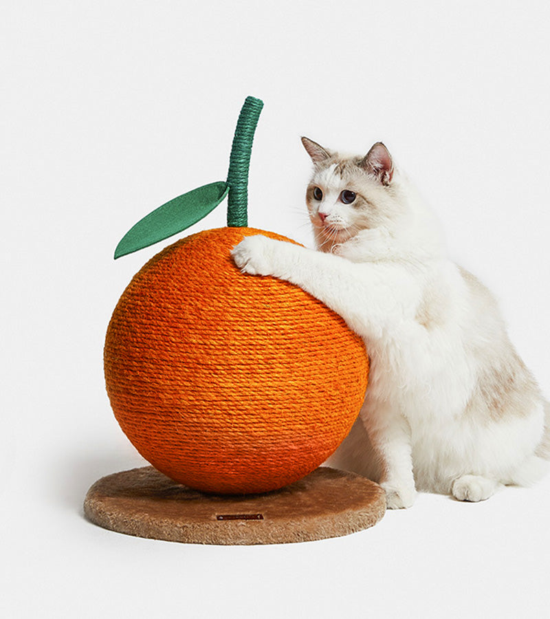 Griffoir mandarine pour chat  Vetreska