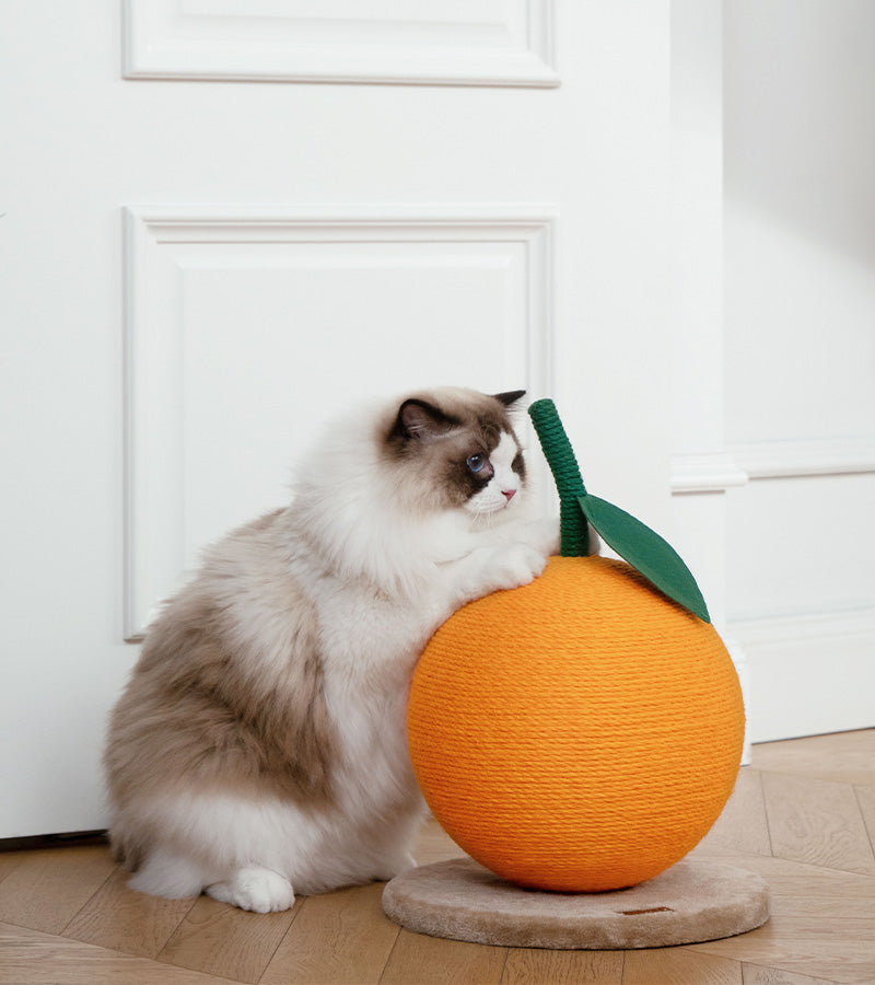 Griffoir mandarine pour chat  Vetreska