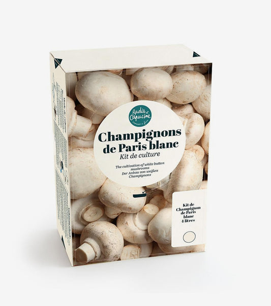 Kit champignons à faire pousser