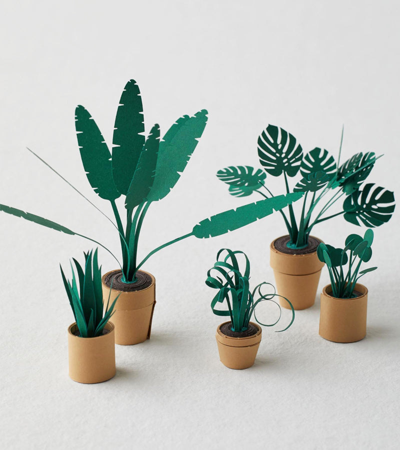 Plantes en papier DIY