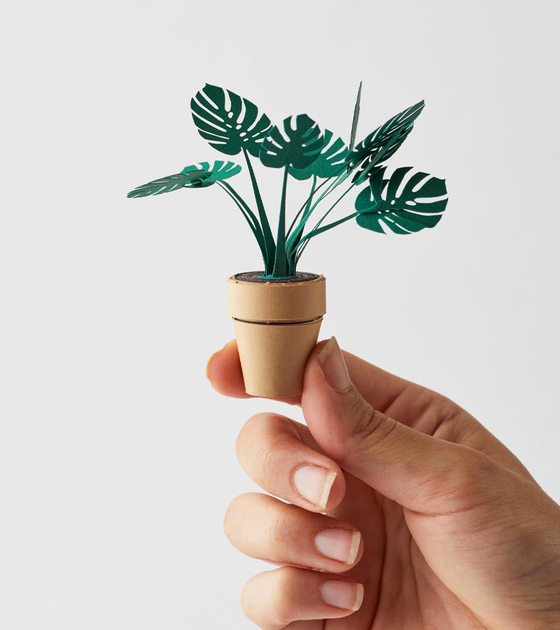 Plantes en papier DIY