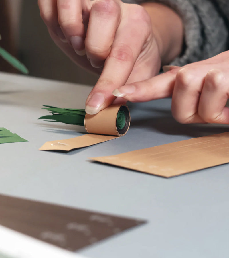 Plantes en papier DIY