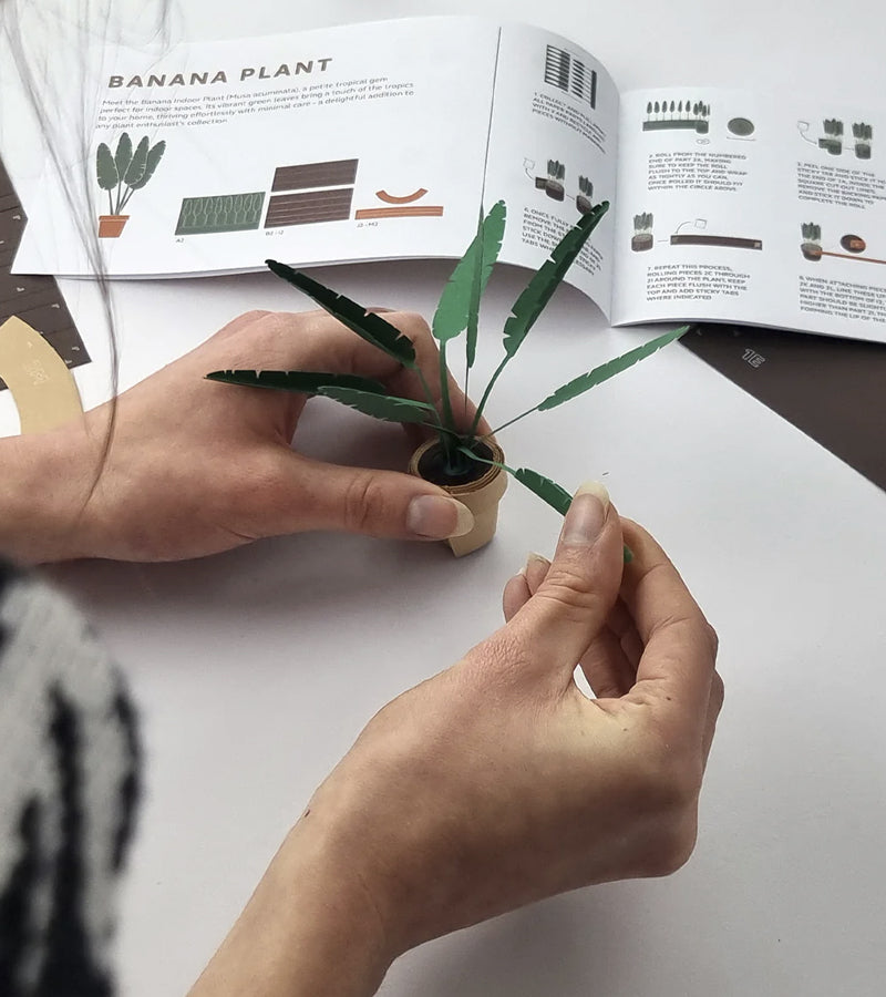 Plantes en papier DIY