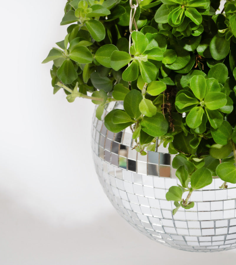 Cache-pot DIY : 20 idées pour vos plantes - blog déco
