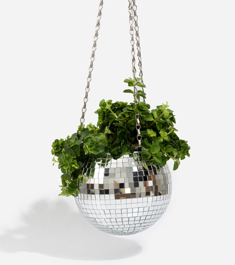 Funky Disco Planter : un pot de fleurs original en boule à facettes idéal à  offrir à vos amis