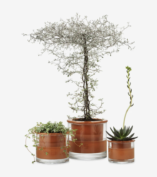 ALICESGARDEN Pots de fleurs en forme de tête de pot pour plantes  d'extérieur, plantes grasses pour intérieur et extérieur, joli pot de  cactus en résine avec trou de drainage et yeux fermés 